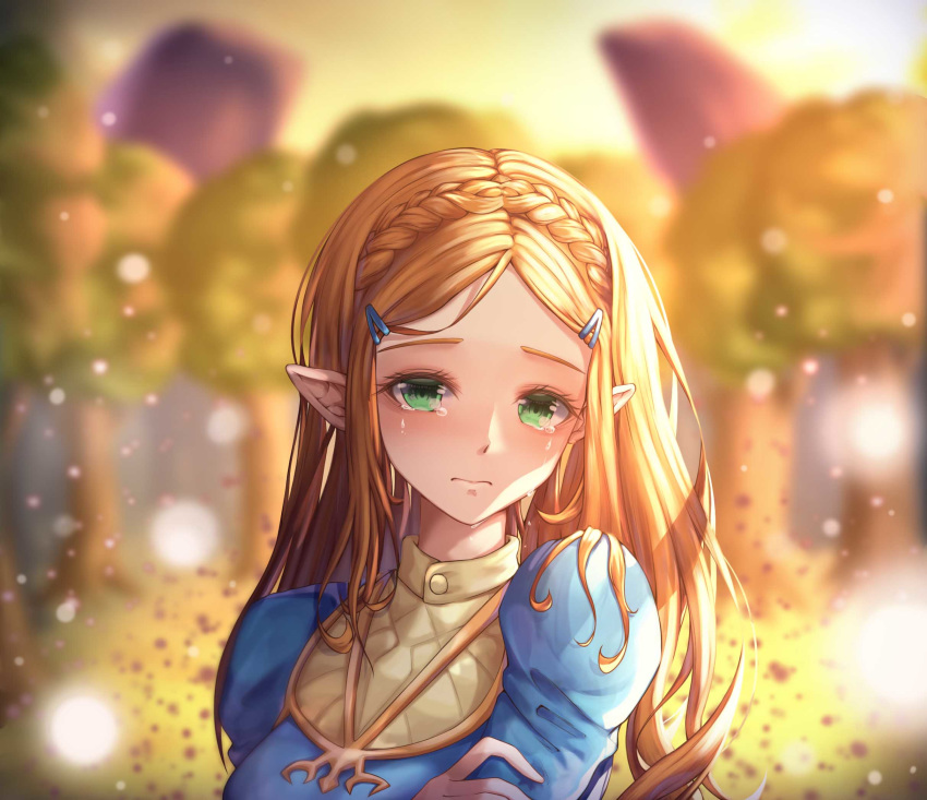 1girl aqua_eyes blonde_hair blurry blurry_background braid crying crying_with_eyes_open day hair_ornament hairclip highres long_hair long_sleeves looking_at_viewer nani_(goodrich) nintendo outdoors pointy_ears princess_zelda sad solo tears the_legend_of_zelda the_legend_of_zelda:_breath_of_the_wild upper_body very_long_hair