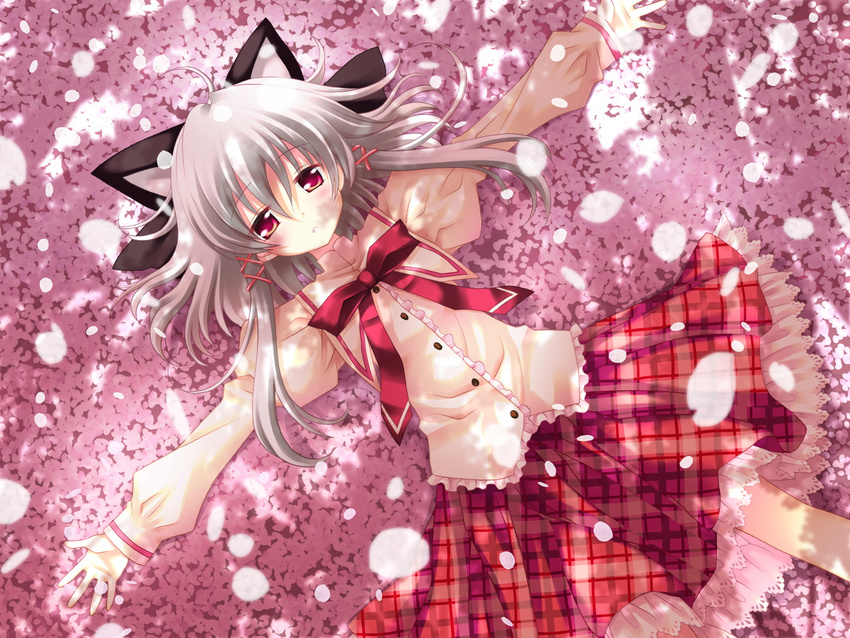 catgirl gray_hair hanafubuki petals red_eyes sakuramori_akasha sakurazawa_izumi seifuku