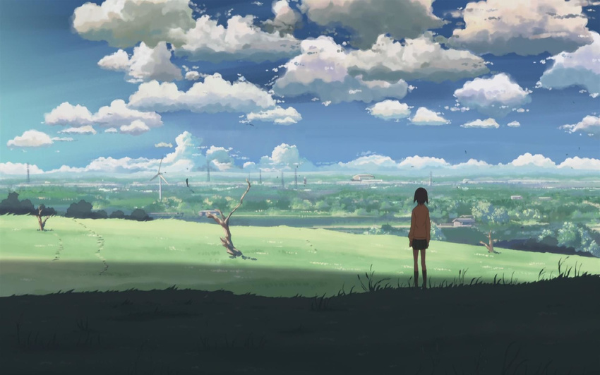 5_centimeters_per_second blue_sky cloud clouds female grass highres house landscape nature outdoors plant power_lines scenery scenic sky solo standing tree wind windmill
