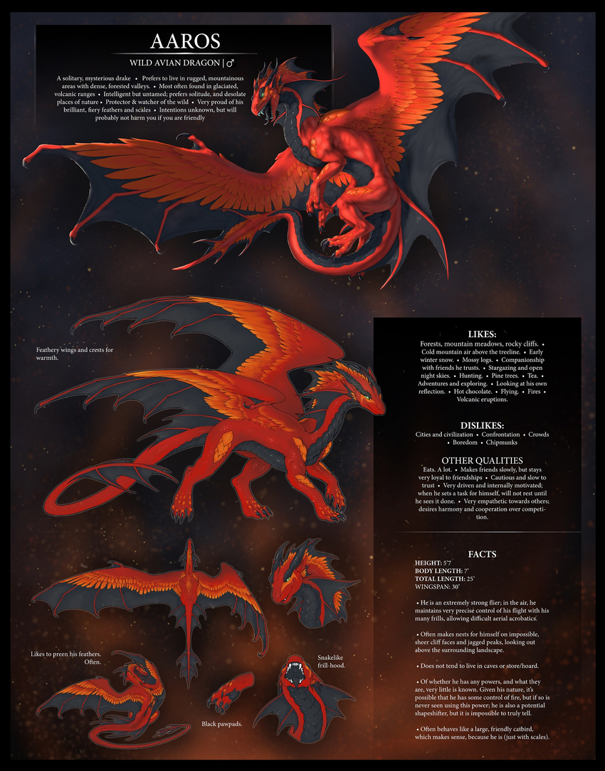 aaros_(artist) blue_eyes claws dragon feathered_wings feathers feral flying male membranous_wings model_sheet open_mouth red_scales scales standing teeth tongue wings