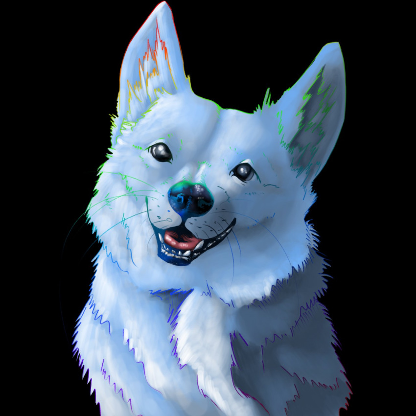 alpha_channel black_eyes black_nose canine dew_dragon dog fluffy fur good_boy male mammal open_mouth simple_background tongue transparent_background whiskers white_fur