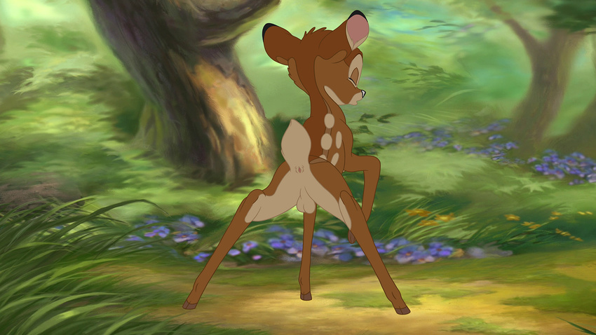 _raptor20 anus balls bambi bambi_(film) butt cervine deer detailed_background disney forest male mammal nude pose presenting presenting_hindcquarters raised_tail solo tree