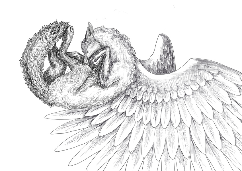 aaros_(artist) ambiguous_gender canine eyes_closed feathered_wings feathers feral fox fur greyscale mammal monochrome nude paws simple_background sketch solo white_background winged_fox wings