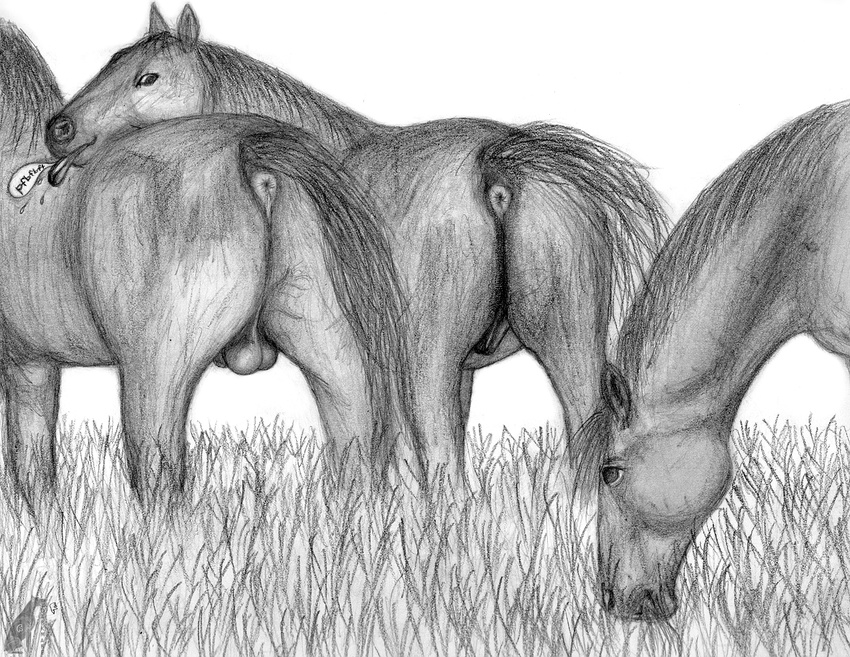 animal_genitalia anus balls butt darkmare equine eunuch fart_joke feral greyscale horse male mammal monochrome presenting presenting_hindquarters raised_tail rear_view surprised_look