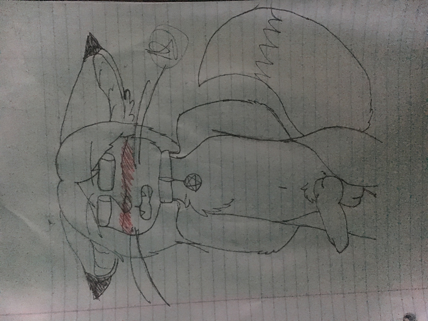 2016 balls blush collar ear_tuft ears_down fennec_fox_canine front_view girly hair half-closed_eyes invalid_tag long_hair male navel nederoonie nude open_mouth penis pentagram portrait sketch slim solo surprise teeth traditional_media_(artwork) tuft whiskers
