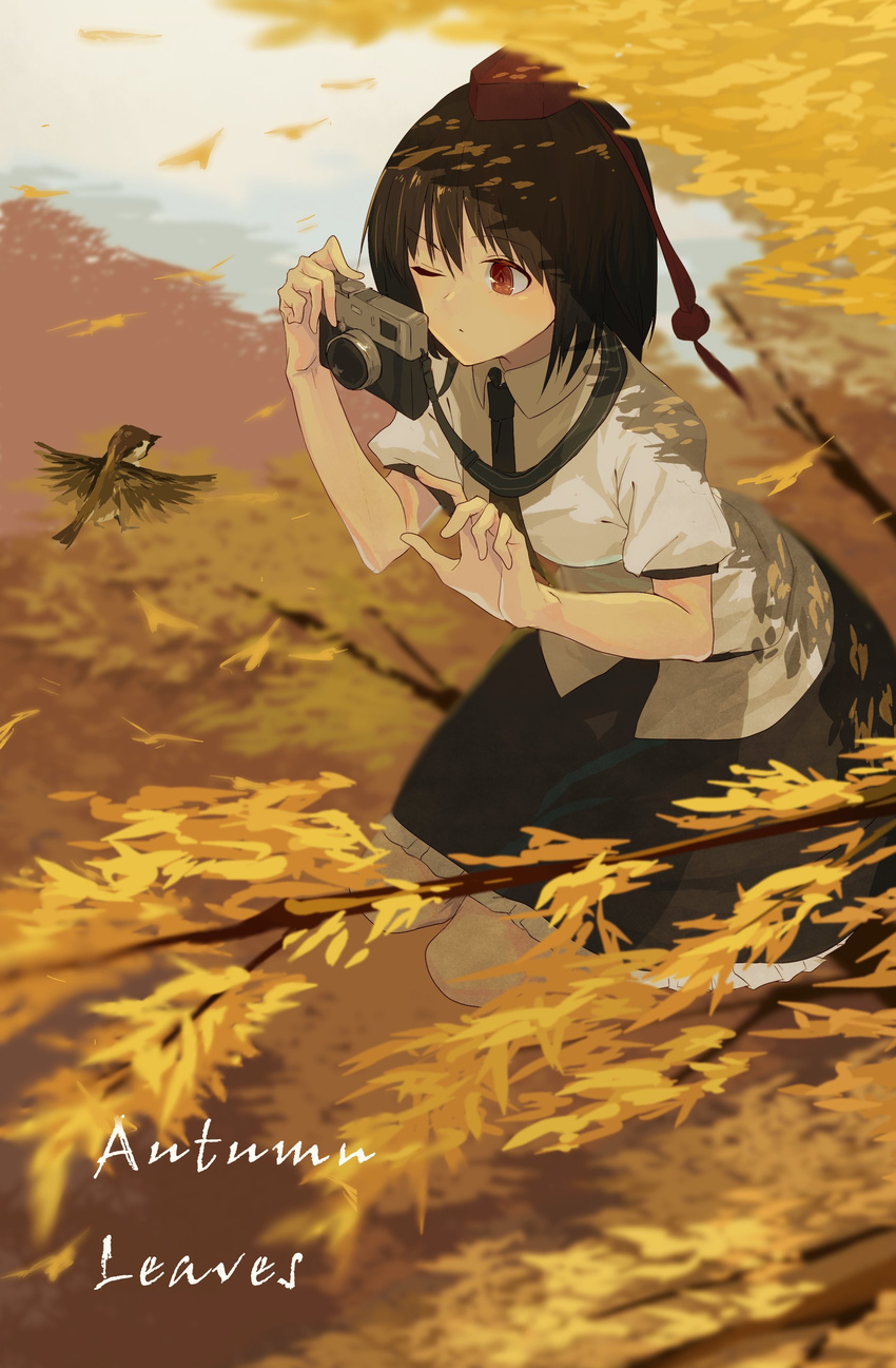 absurdres animal autumn_leaves bird black_hair branch camera collared_shirt commentary day dress_shirt eurasian_tree_sparrow eyebrows eyebrows_visible_through_hair forest gomibukurokarasu hat highres leaf nature necktie one_eye_closed outdoors pom_pom_(clothes) puffy_short_sleeves puffy_sleeves red_eyes shameimaru_aya shirt short_hair short_sleeves skirt sky solo sparrow taking_picture text_focus tokin_hat touhou tree tree_branch
