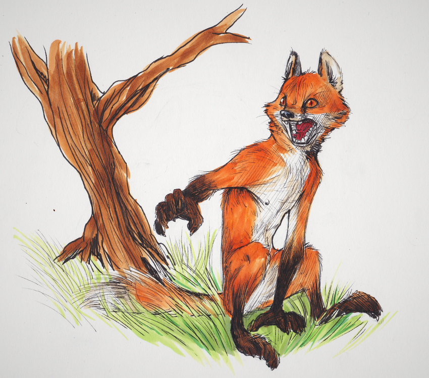 canine featureless_crotch feral fox fur grass male mammal monoflax nipples nude open_mouth orange_eyes simple_background sitting slit_pupils solo tree were werefox white_background