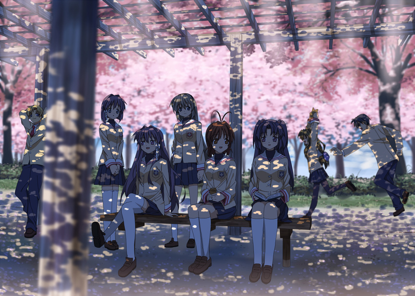 6+girls antenna_hair bench cherry_blossoms clannad dappled_sunlight everyone fujibayashi_kyou fujibayashi_ryou furukawa_nagisa hikarizaka_private_high_school_uniform ibuki_fuuko ichinose_kotomi kneehighs multiple_boys multiple_girls nagareboshi okazaki_tomoya pantyhose sakagami_tomoyo school_uniform shade siblings sisters socks starfish sunlight sunohara_youhei thighhighs tree_shade twins