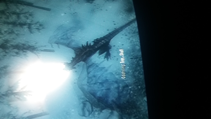 dragon odahviing skyrim the_elder_scrolls video_games