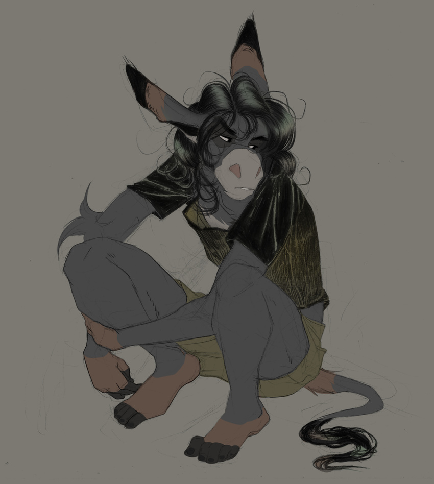 2016 5_fingers 5_toes anthro black_hair brown_fur clothed clothing digital_media_(artwork) donkey elbow_tufts entoxia equine flat_colors frown fully_clothed fur grey_background grey_fur guide_lines hair hand_on_leg hi_res humanoid_feet humanoid_hands long_hair looking_away male mammal mixed_media pencil_(artwork) shirt shorts simple_background sitting solo tail_tuft toes tony_(entoxia) traditional_media_(artwork) tuft