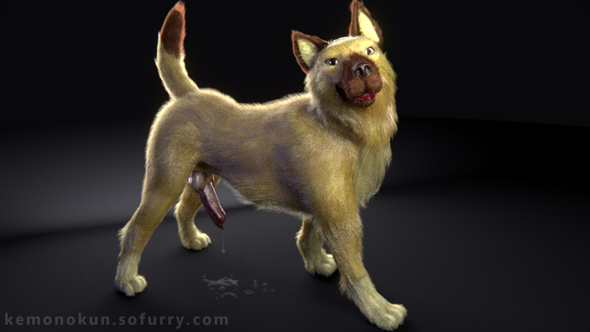 2015 3d_(artwork) anatomically_correct anatomically_correct_penis animal_genitalia animal_penis black_nose brown_fur brown_tail canine canine_penis digital_media_(artwork) dipstick_tail dog dripping erection feral fur hindpaw kemonokun knot looking_at_viewer male mammal multicolored_fur multicolored_tail paws penis precum quadruped side_view simple_background solo two_tone_fur two_tone_tail url yellow_fur yellow_tail