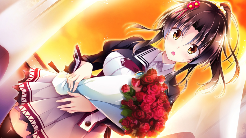 1girl black_hair black_legwear blush curtains dress evening eyes_closed flower game_cg giving glowing golden_marriage hair_ornament highres incoming_gift inside long_sleeves looking_at_viewer open_mouth pleated_dress ponytail puffy_long_sleeves puffy_sleeves school_uniform scrunchie shimakage_ruri sky solo sweatdrop thighhighs tsundere vest window