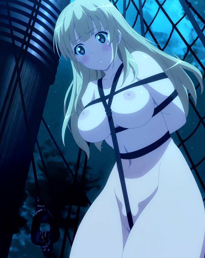1girl alicia_(queen's_blade) breasts highres large_breasts long_hair night nipples nude queen's_blade rope screencap solo stitched tied