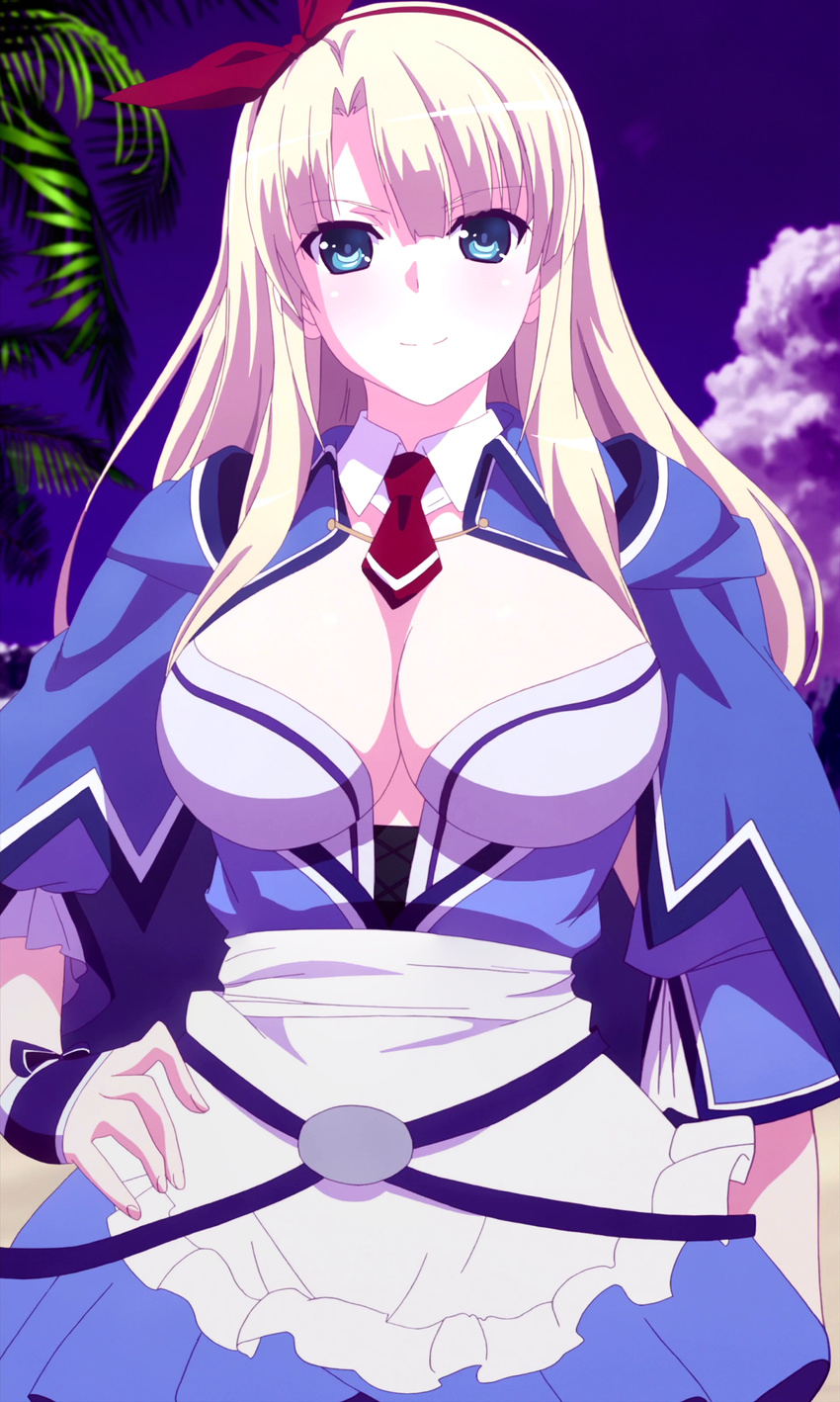 1girl alicia_(queen's_blade) blonde_hair breasts dress highres large_breasts long_hair queen's_blade smile solo standing stitched white_panties