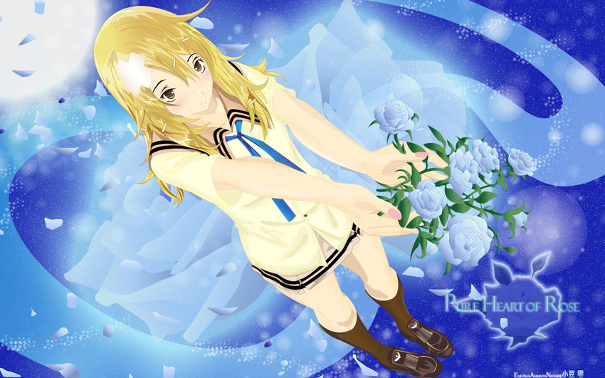 air_gear barrette blonde_hair blue_rose blush brown_eyes cross female fingernails flower footwear highres leaf leaves long_hair nail_polish offering oh!_great oogure_ito painted_fingernails petals ribbon rose school_uniform seifuku shirt shoes simple_background skirt smile socks solo standing sumeragi_kururu wallpaper