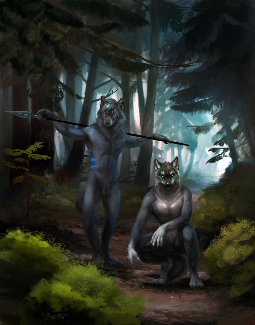 2016 animal_genitalia anthro balls blue_eyes canine crouching duo forest front_view fully_sheathed fur fur_markings grey_fur looking_at_viewer male mammal markings melee_weapon nature navel nude outside penguinolog polearm sheath standing tree tribal weapon wolf