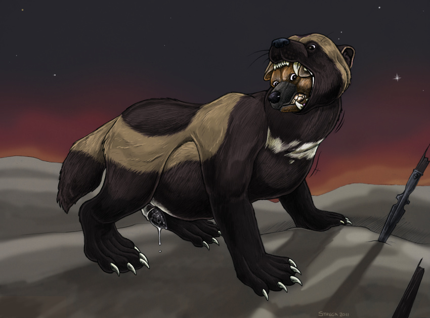 2011 anthro anthro_on_feral belly_expansion bestiality cum duo feet_first feral gnoll head_in_mouth inflation male male/male mammal mustelid oral_vore penis ripper_(character) strega vore wolverine