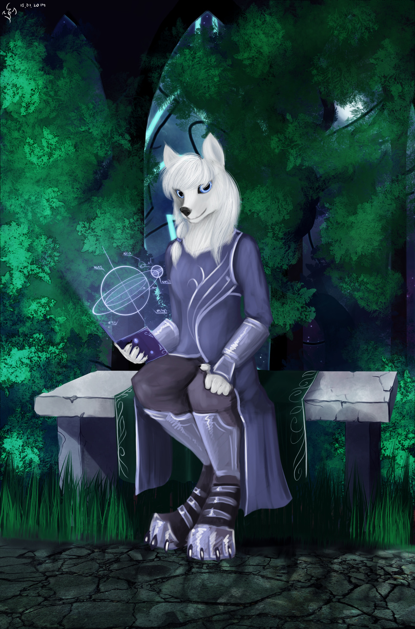 2014 4_toes 5_fingers anthro black_nose blue_eyes canine clothed clothing dalagar detailed_background female fur hair mammal night outside sitting smile solo toes white_fur white_hair wolf