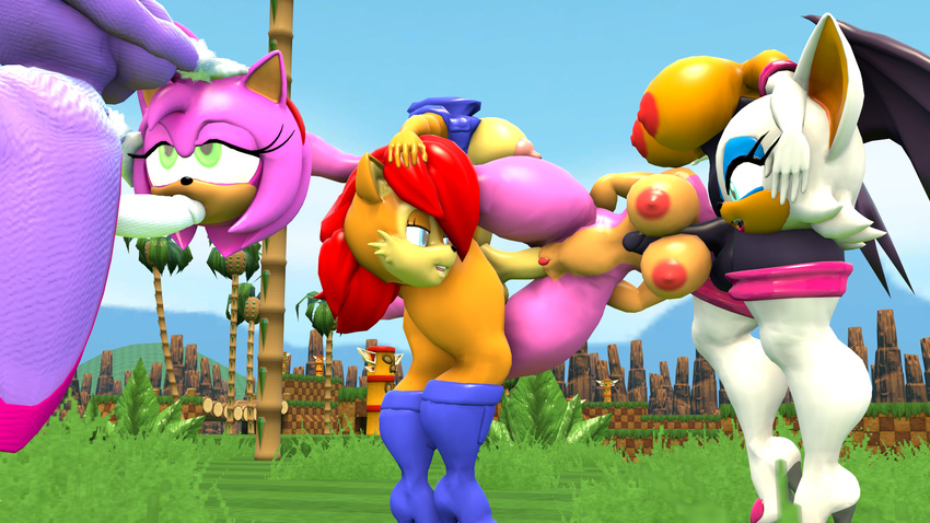 3d_(artwork) amy_rose blaze_the_cat breasts decapitation detachable detachable_head digital_media_(artwork) fellatio group headless headmaster intersex modular nipples nude oral penis rouge_the_bat sally_acorn sex sonic_(series) source_filmmaker titfuck