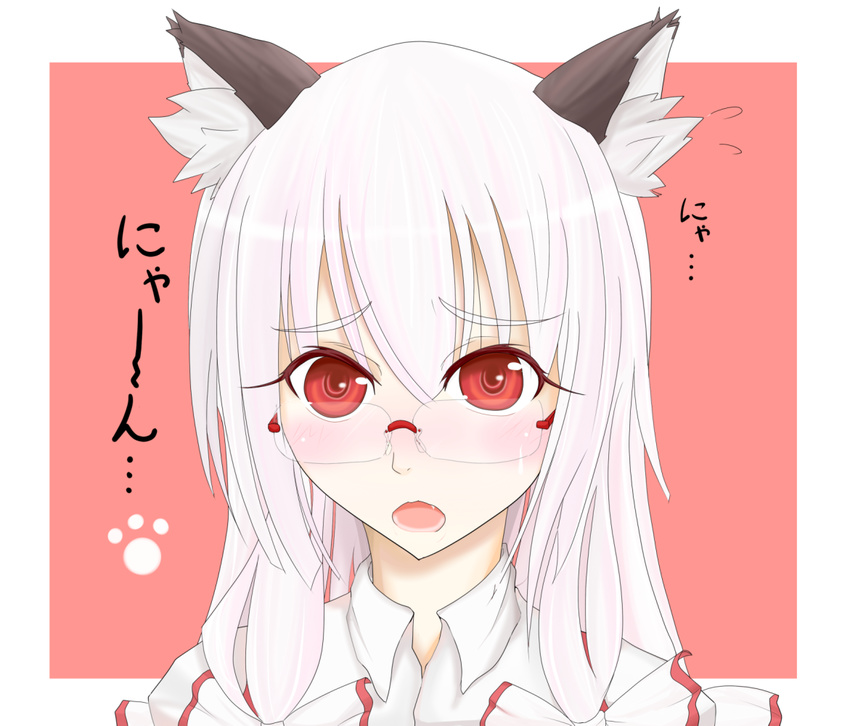 animal_ears bespectacled blush cat_ears fujiwara_no_mokou glasses kemonomimi_mode matsura_(nagatosan) red_eyes solo touhou white_hair