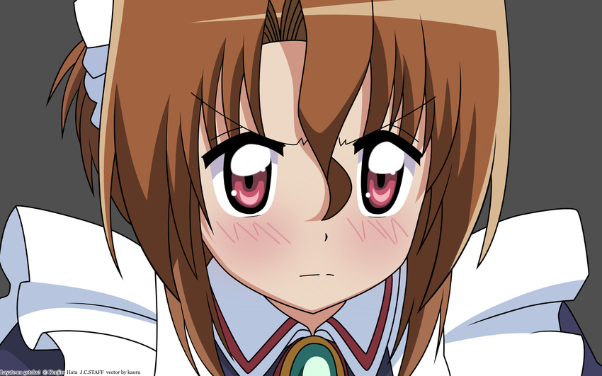 close hayate_no_gotoku maria signed vector