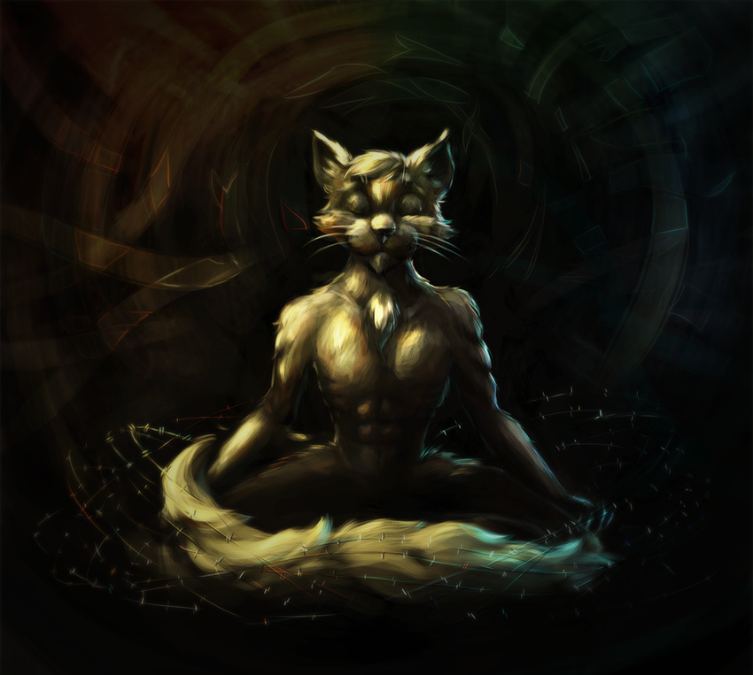 anthro barbed_wire black_background calm cat digital_drawing_(artwork) digital_media_(artwork) feline fur hair male mammal press simple_background solo yoga