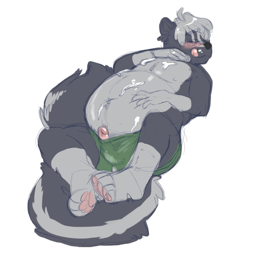 2013 anthro belly black_fur black_nose blush bulge clothing cum cum_on_chest cumshot digital_drawing_(artwork) digital_media_(artwork) draconum ejaculation eyes_closed floebean fur green_underwear grey_fur grey_hair hair hands-free hindpaw male mammal masturbation multicolored_fur nipples orgasm overweight pawpads paws penis simple_background sketch skunk smile solo tongue tongue_out underwear white_background