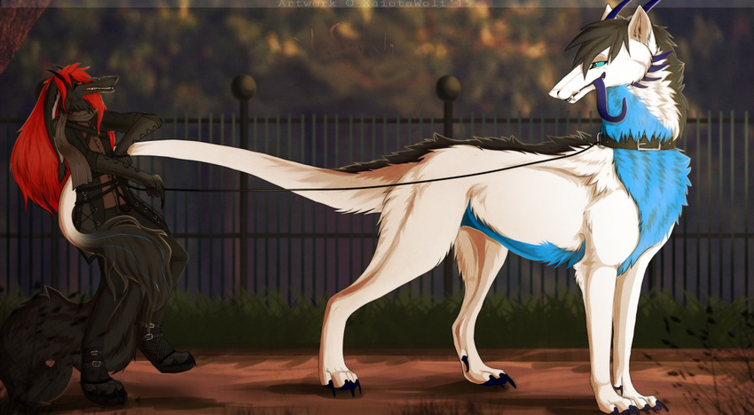 anthro collar duo feral fur hair kaiotawolf leash male outside sergal smile standing tongue tongue_out