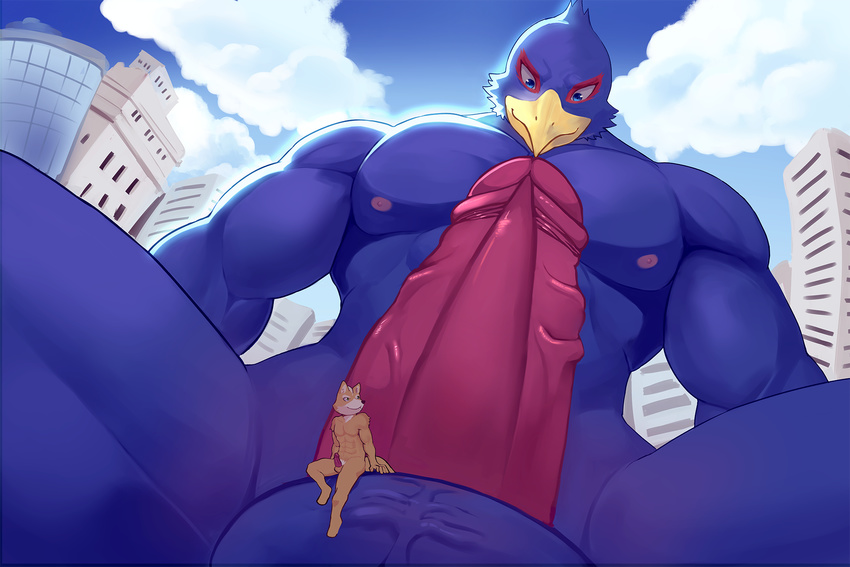 anthro avian canine city erection falco_lombardi fox fox_mccloud looming low-angle macro male mammal nintendo penis sitting size_difference soonico star_fox video_games view