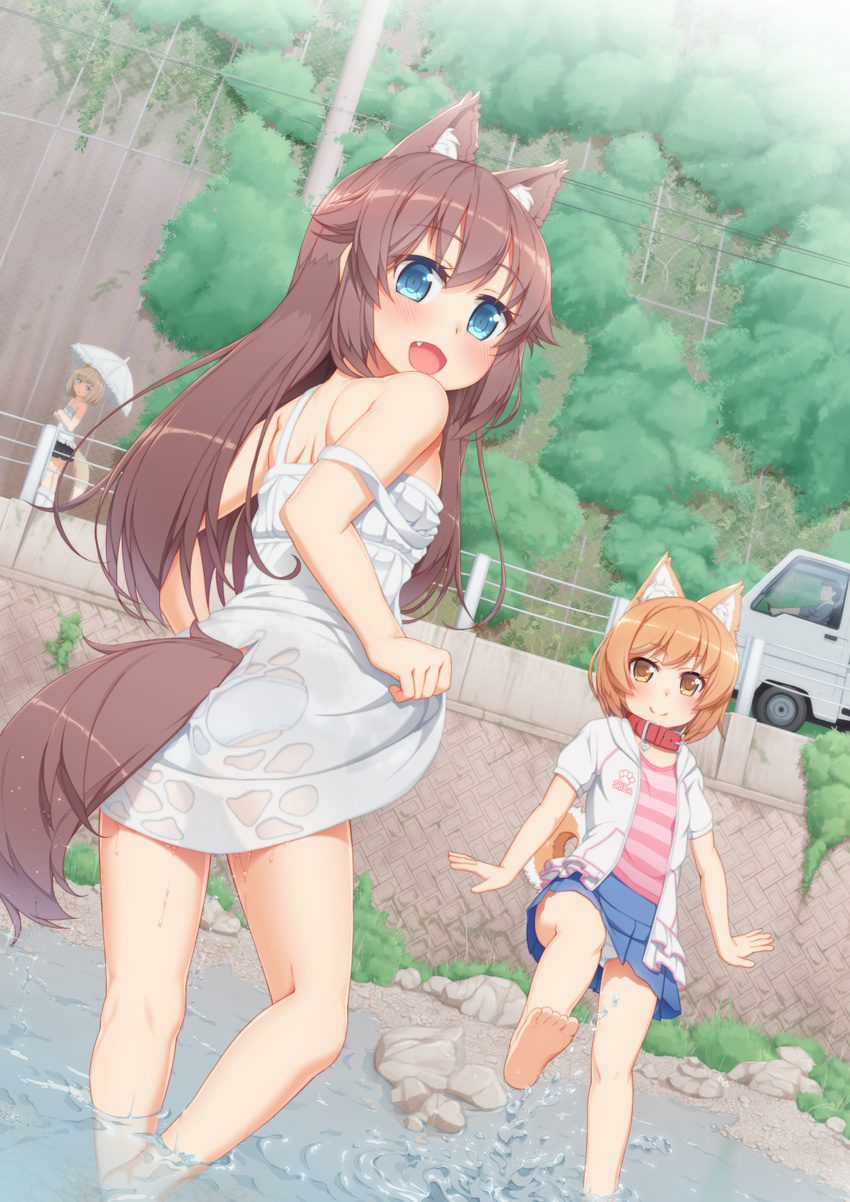 3girls animal_ears ass bare_legs bare_shoulders barefoot blue_eyes blush brown_hair collar commentary_request day dog_ears dog_tail dress fang grass highres hood hoodie long_hair looking_back multiple_girls off_shoulder open_mouth original outdoors panties pantyshot pantyshot_(standing) pleated_skirt river shirt short_hair skirt smile soaking_feet standing strap_slip striped striped_shirt sundress tachimi_(basue) tail underwear wading water wet wet_clothes white_dress white_panties
