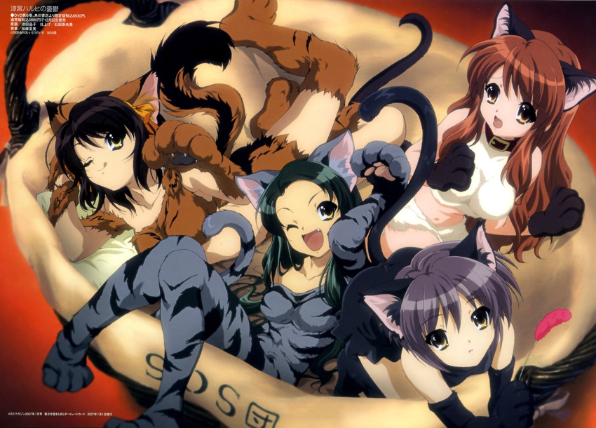 animal_ears asahina_mikuru brown_hair cat_ears highres ikeda_shouko kemonomimi_mode multiple_girls nagato_yuki official_art short_hair suzumiya_haruhi suzumiya_haruhi_no_yuuutsu tail thighhighs tsuruya