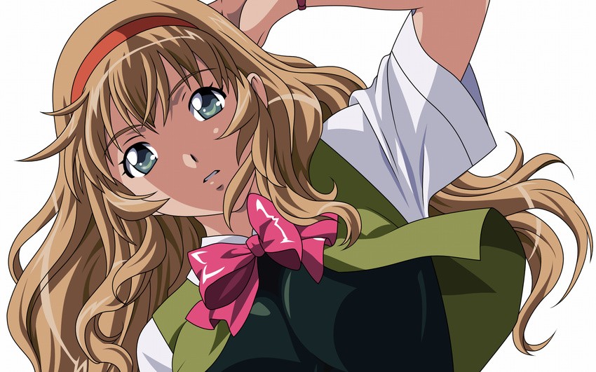 blonde_hair blue_eyes highres ikkitousen sonken_chuubou