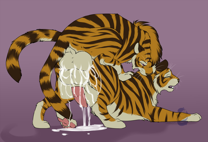 2016 4_toes balls balls_touching black_fur black_stripes cum cum_on_balls digital_media_(artwork) feline feral feral_on_feral fur kato_(tiger) male male/male mammal stripes tiger toes toradoshi