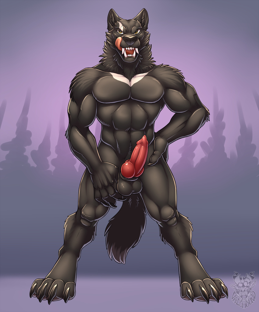 2016 4_toes abs animal_genitalia animal_penis anthro balls biceps black_balls black_fur black_nose black_tail canine canine_penis claws digital_media_(artwork) digitigrade erection fangs front_view full-length_portrait fur hi_res licking licking_lips male mammal markings multicolored_fur muscular muscular_male nude pecs penis pink_penis pink_tongue portrait silver_fang solo standing teeth toe_claws toes tongue tongue_out two_tone_fur vallhund watermark were werewolf white_fur white_markings wolf yellow_eyes