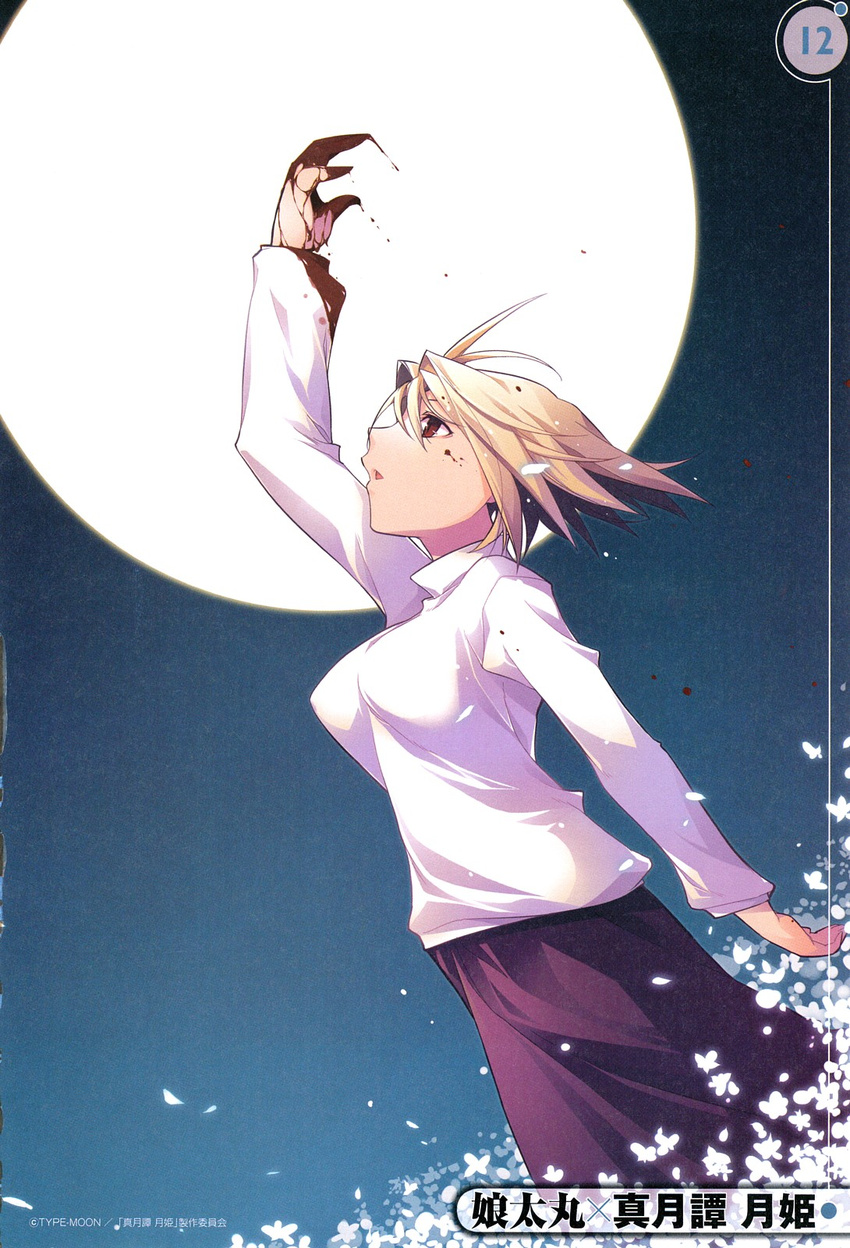 arcueid_brunestud kotamaru screening tagme tsukihime