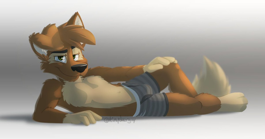 bulge canine clothing dog looking_at_viewer lying male mammal on_side solo thesepantsdontfit tinydeerguy underwear