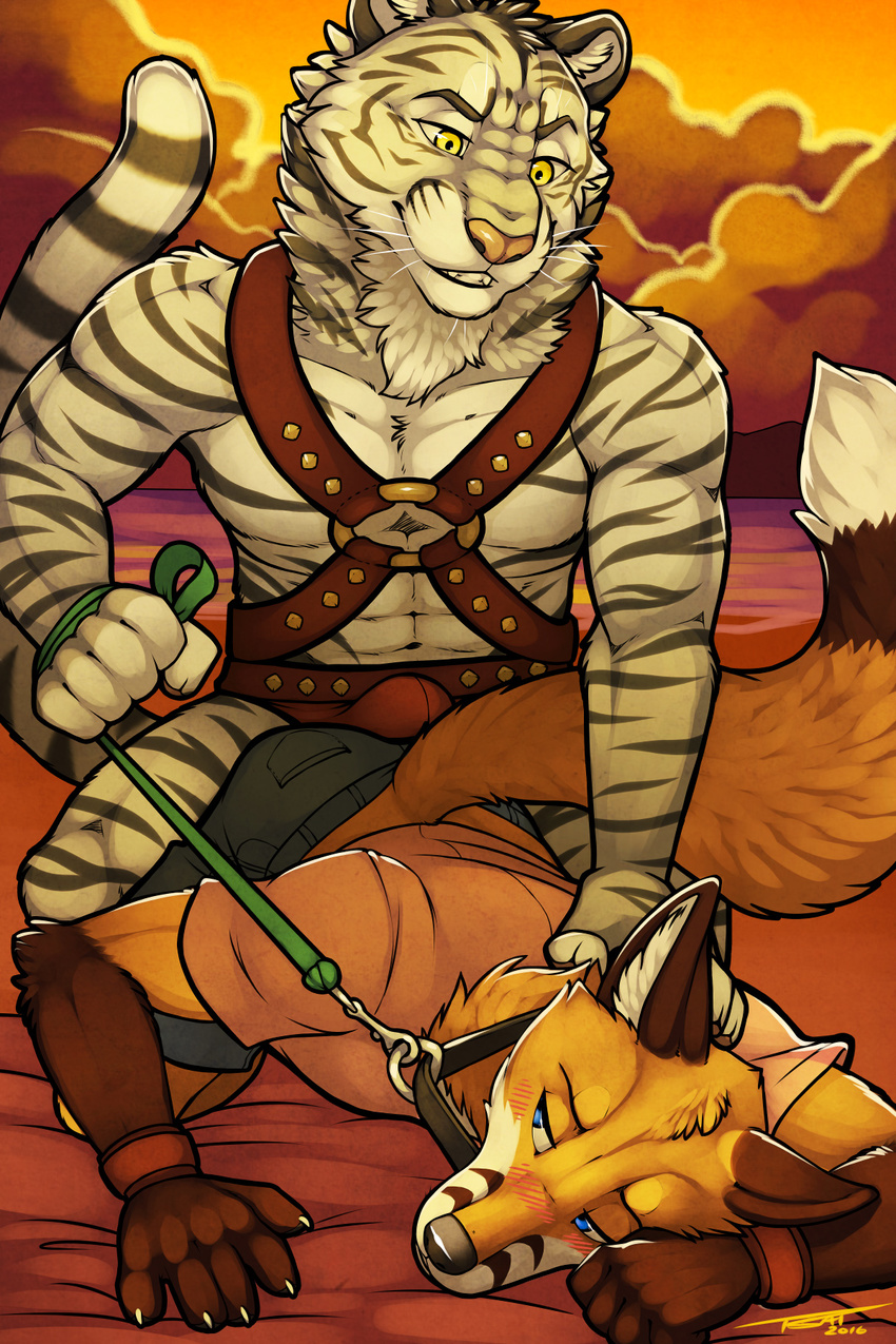 2016 5_fingers anthro black_fur blue_eyes blush brown_fur bulge canine clothed clothing collar detailed_background digital_media_(artwork) dipstick_tail duo eyebrows feline fox fur gloves_(marking) harness hi_res leash male male/male mammal markings multicolored_tail navel orange_fur pink_nose ringed_tail shirt shorts striped_fur stripes thesaberfox tiger tsaiwolf underwear whiskers white_fur white_tiger yellow_eyes