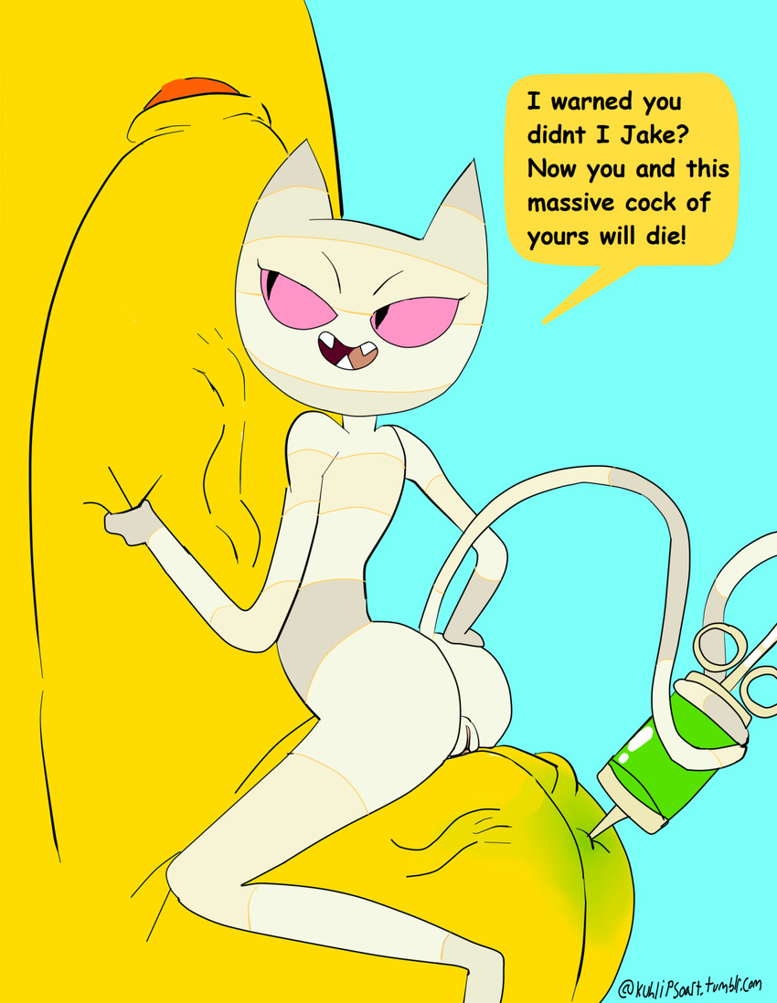 adventure_time anthro balls butt canine cartoon_network cat dialogue digital_media_(artwork) dog duo english_text fangs feline female fur grope jake_the_dog kuhlipso male male/female mammal me-mow open_mouth penis pink_eyes poison pussy simple_background smile stripe_fur syringe teeth text vial