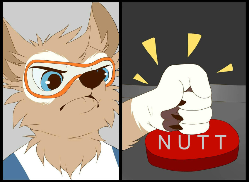 anthro ball canine eyewear fifa goggles humor indycat male mammal mascot reaction_image russia russian soccer solo sport wolf world_cup zabivaka