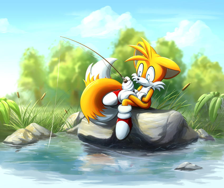 absurd_res anthro black_nose blue_eyes canine clothing cloud detailed dexter01992 fishing footwear fox fur gloves grass hi_res mammal miles_prower outside reflection rock sitting smile sonic_(series) tree video_games water white_fur yellow_fur