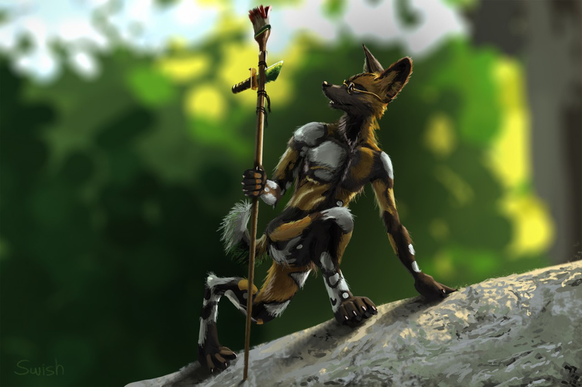 african_painted_dog african_wild_dog canine everruler forest male mammal rock sunlight swish tree