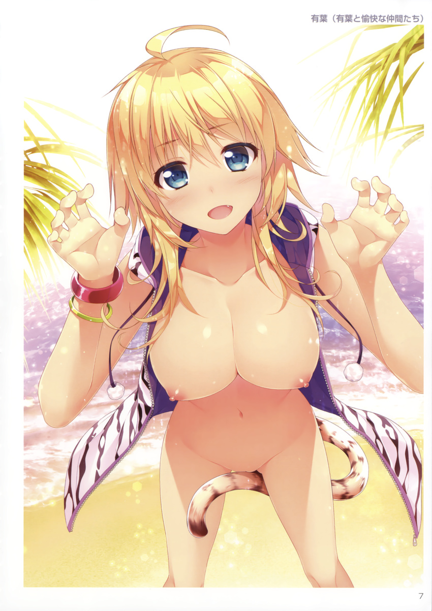 absurdres ahoge alpha_(yukai_na_nakamatachi) animal_ears animal_print areolae bangle beach between_legs bikini blonde_hair blue_eyes blush bottomless bracelet breasts cat_tail collarbone convenient_censoring cowboy_shot fang foreshortening groin hair_between_eyes hands_up highres hood hood_down hooded_track_jacket hoodie jacket jewelry large_breasts light_particles looking_at_viewer naked_hoodie navel nipples open_clothes open_hoodie open_mouth outdoors palm_tree paw_pose perspective puffy_nipples scan side-tie_bikini sleeveless sleeveless_hoodie smile solo stomach string_bikini swimsuit tail tail_censor tiger_ears tiger_print tiger_tail toranoana track_jacket tree white_tiger_print