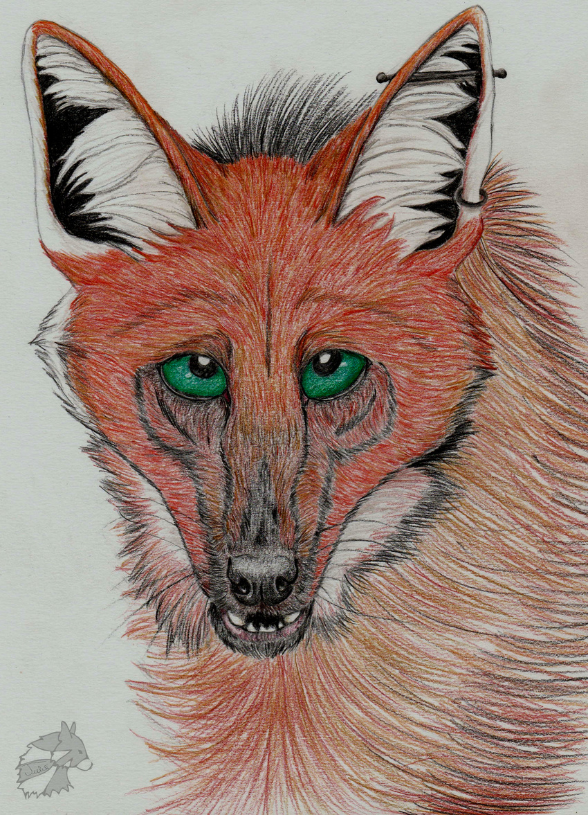 anthro canine headshot mammal maned pencil_(disambiguation) piercing portrait traditional_media_(artwork) wolf yenza