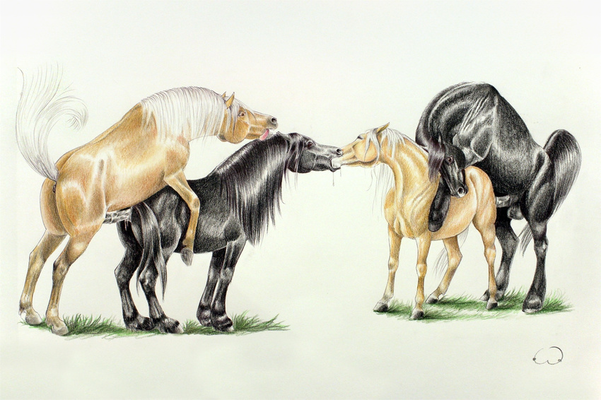 2014 anatomically_correct anatomically_correct_anus anatomically_correct_penis animal_genitalia animal_penis anus balls bisexual black_anus black_balls black_fur black_mane black_penis black_tail boobcat brown_eyes colored_pencil_(artwork) cum cum_inside dripping equine equine_penis eyes_closed female female/female feral feral_on_feral from_behind_position fur grass group group_sex hooves horse kissing male male/female male_penetrating mammal mane medial_ring mounting penetration penis pink_tongue puffy_anus quadruped raised_tail saliva sex signature simple_background tan_fur tongue tongue_out traditional_media_(artwork) underhoof vaginal vaginal_penetration white_background white_mane white_tail