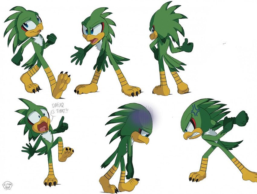 avian bird hawk jet_the_hawk kirumokat male sonic_(series) sonic_riders talons