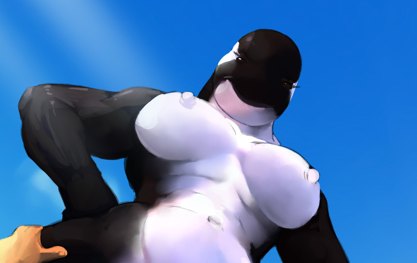 2016 abs ambiguous_gender anthro big_breasts blue_background breasts cetacean duo female female/ambiguous hattonslayden human human_on_anthro interspecies low-angle_view mammal marine muscular muscular_female navel nipples nude orca simple_background smile solo_focus suggestive whale