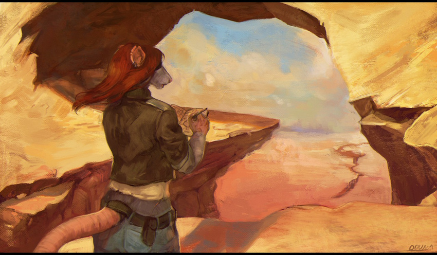 2016 anthro belt blue_sky clothed clothing day desert detailed_background digital_media_(artwork) digital_painting_(artwork) ear_piercing female fur furgonomics grey_fur hair hassana holding_object jacket jeans long_hair mammal map oouna outside pants piercing pink_tail rat rear_view red_hair rodent shadow signature sky solo standing tail_clothing