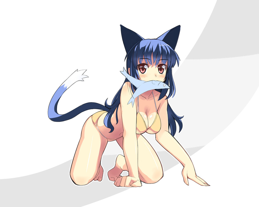 all_fours animal_ears barefoot bikini blue_hair blush breasts cat_ears cleavage copyright_request fish full_body large_breasts long_hair mouth_hold red_eyes sikorsky solo swimsuit tail transparent_background