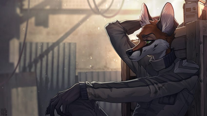 5_fingers anthro black_nose canine clothed clothing detailed_background fox fur inner_ear_fluff male mammal orange_fur sitting solo white_fur wildering