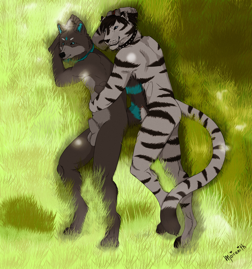 by_kanou canine cellshading feline grass hug kanoart male mammal penis sunshine tiger wolf